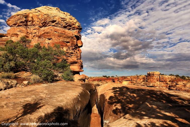 The Needles Canyonlands National Park Utah USA www.remylacroixphoto.com