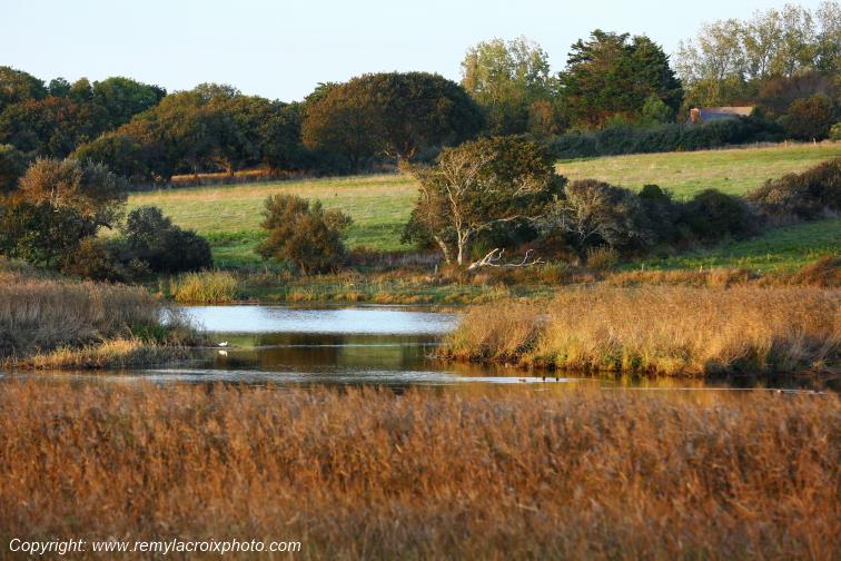 Etangs de Tr�vignon Finist�re Bretagne France www.remylacroixphoto.com
