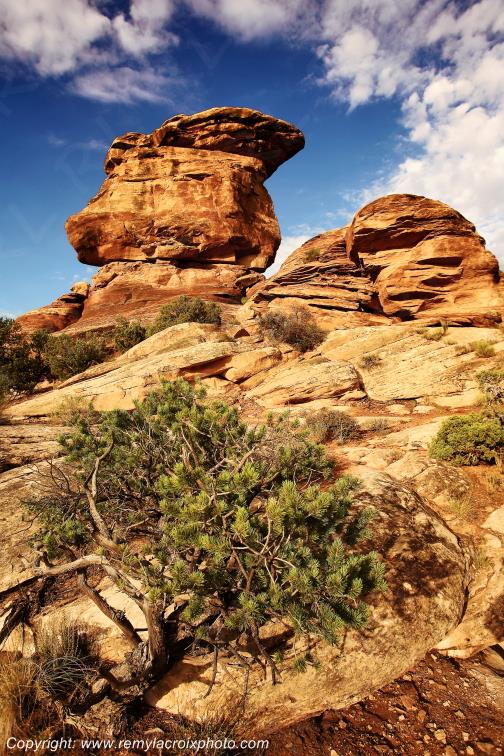 The Needles Canyonlands National Park Utah USA www.remylacroixphoto.com