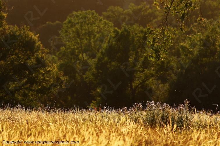 Tranzault Val de Bouzanne Indre Berry Centre Val de Loire France www.remylacroixphoto.com