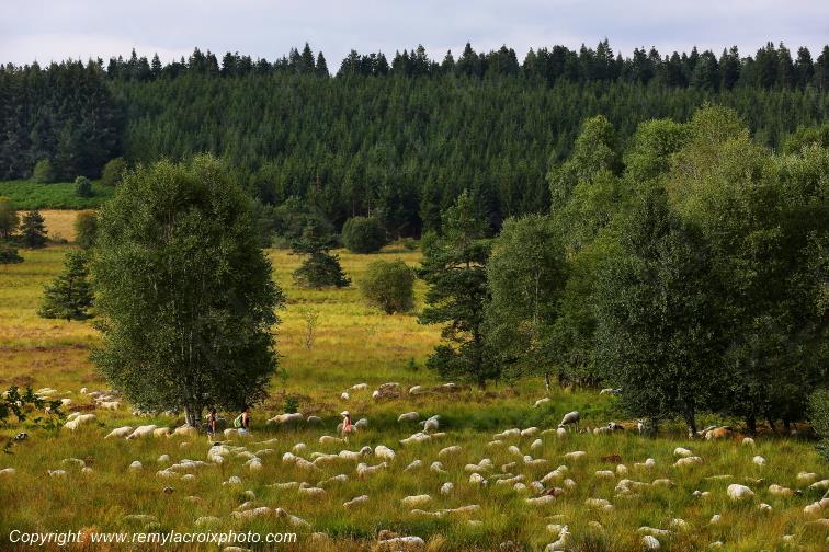 Tourbi�re du Long�roux Corr�ze Limousin  Nouvelle Aquitaine France www.remylacroixphoto.com