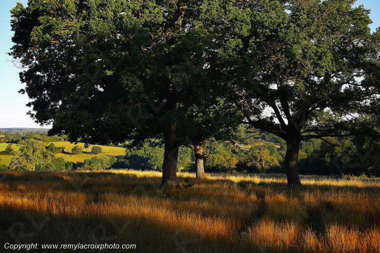 Tranzault Val de Bouzanne Indre Berry Centre Val de Loire France www.remylacroixphoto.com