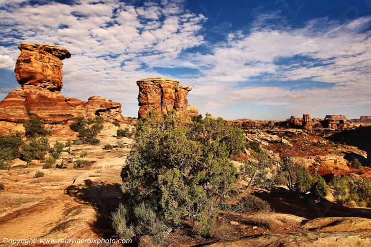 The Needles Canyonlands National Park Utah USA www.remylacroixphoto.com