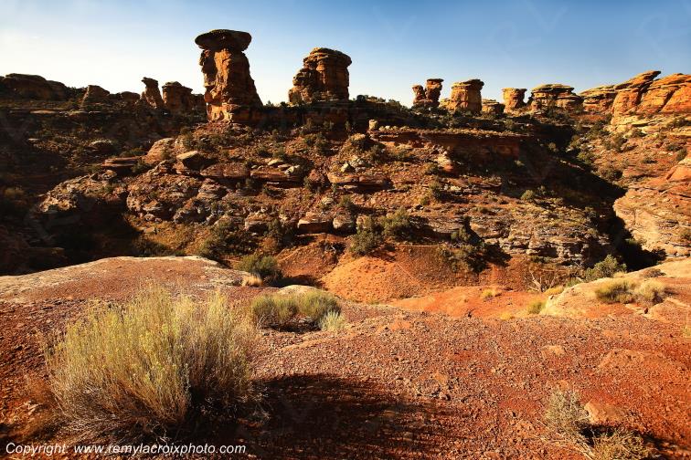 The Needles Canyonlands National Park Utah USA www.remylacroixphoto.com