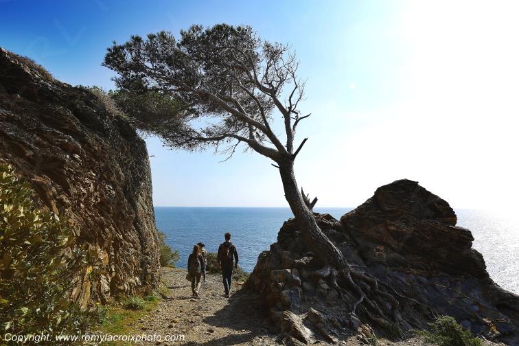 Presqu'�le de Giens La Madrague Var Provence Alpes C�te d'Azur PACA France www.remylacroixphoto.com