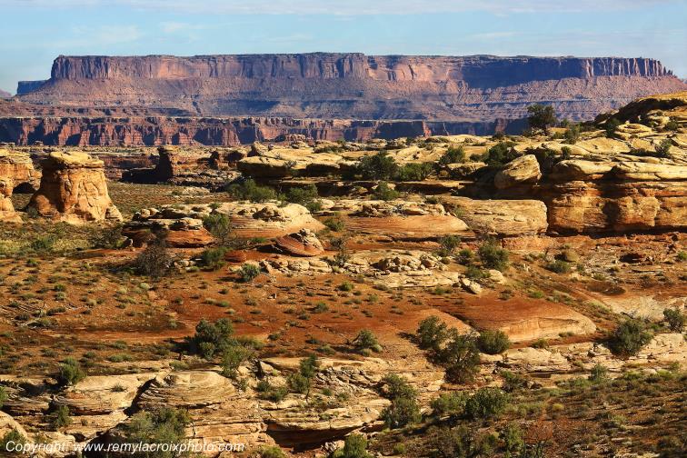 The Needles Canyonlands National Park Utah USA www.remylacroixphoto.com