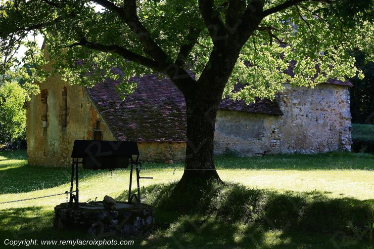 Lys Saint Georges Indre Berry Centre Val de Loire France www.remylacroixphoto.com