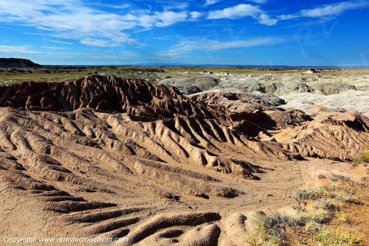Petrified Forest National Park Arizona USA