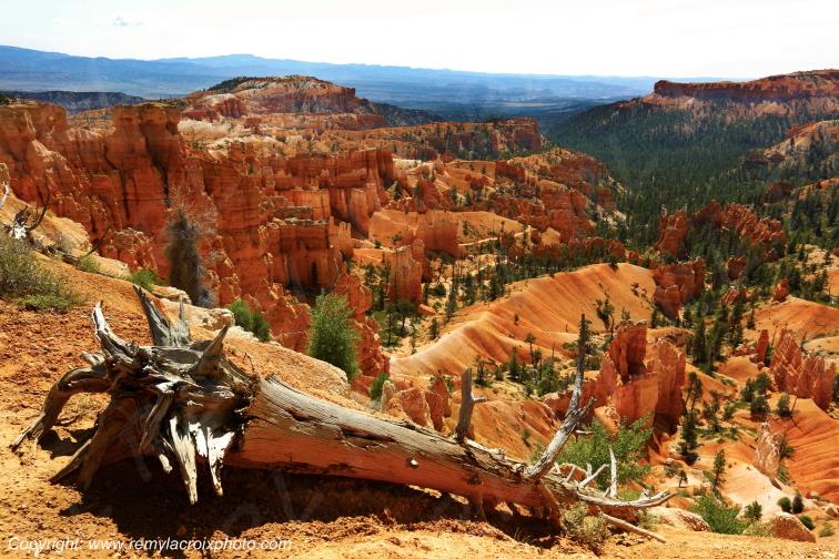 Sunrise Point Bryce Canyon National Park Utah USA