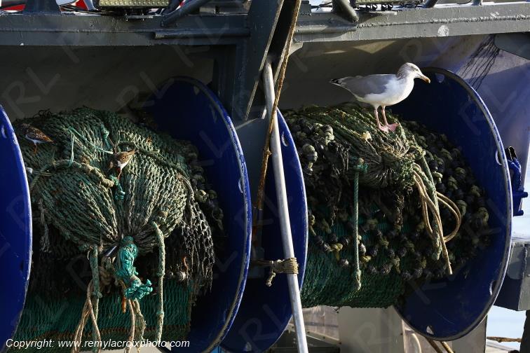 Concarneau le port Finist�re Bretagne France www.remylacroixphoto.com