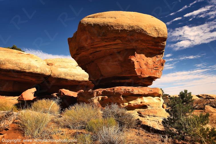The Needles Canyonlands National Park Utah USA www.remylacroixphoto.com