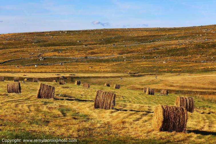 Marchastel Aubrac Loz�re Languedoc-Roussillon Occitanie France www.remylacroixphoto.com