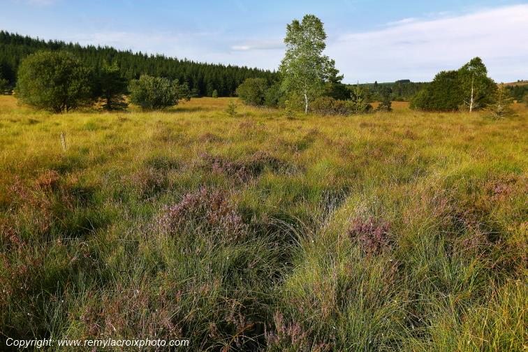 Tourbi�re du Long�roux Corr�ze Limousin  Nouvelle Aquitaine France www.remylacroixphoto.com