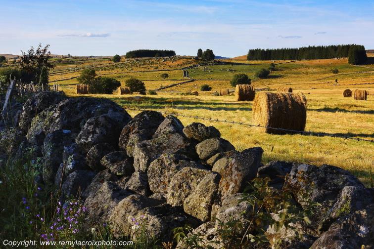 Marchastel Aubrac Loz�re Languedoc-Roussillon Occitanie France www.remylacroixphoto.com
