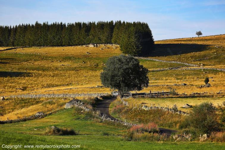 Marchastel Aubrac Loz�re Languedoc-Roussillon Occitanie France www.remylacroixphoto.com