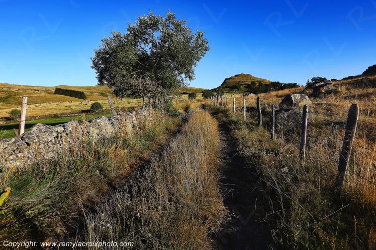 Marchastel Aubrac Loz�re Languedoc-Roussillon Occitanie France www.remylacroixphoto.com