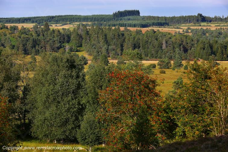 Tourbi�re du Long�roux Corr�ze Limousin  Nouvelle Aquitaine France www.remylacroixphoto.com