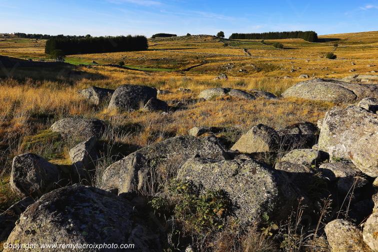 Marchastel Aubrac Loz�re Languedoc-Roussillon Occitanie France www.remylacroixphoto.com