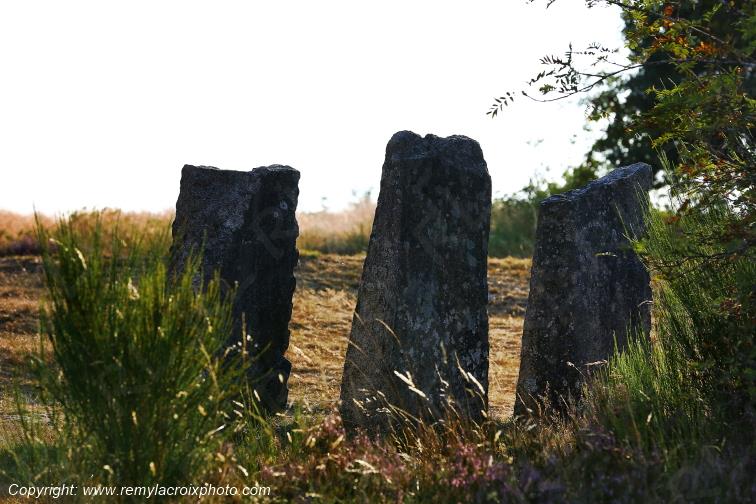 Tourbi�re du Long�roux Corr�ze Limousin  Nouvelle Aquitaine France www.remylacroixphoto.com