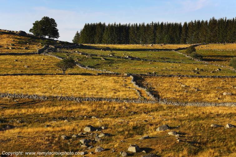 Marchastel Aubrac Loz�re Languedoc-Roussillon Occitanie France www.remylacroixphoto.com