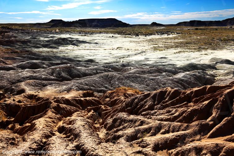 Petrified Forest National Park Arizona USA