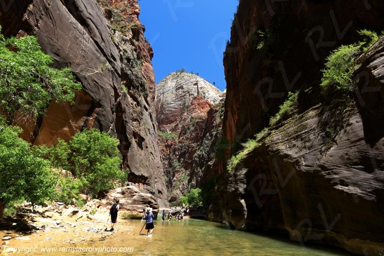 Riverside Walk Zion National Park Utah USA