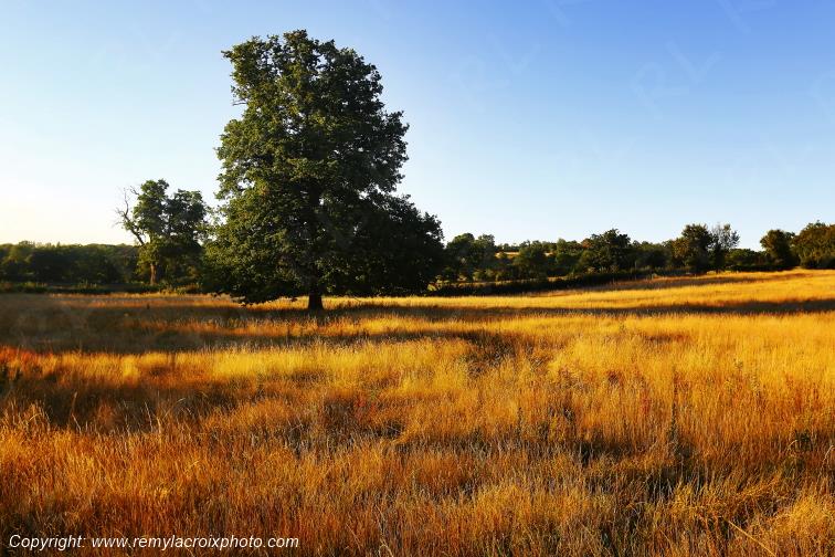 Tranzault Val de Bouzanne Indre Berry Centre Val de Loire France www.remylacroixphoto.com