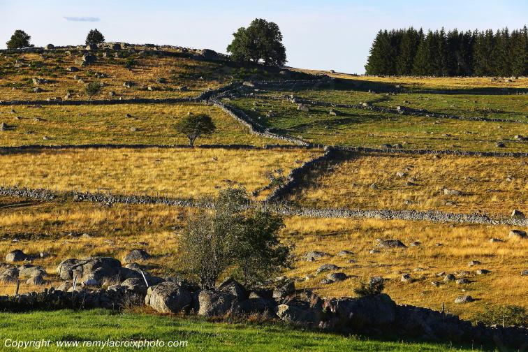 Marchastel Aubrac Loz�re Languedoc-Roussillon Occitanie France www.remylacroixphoto.com