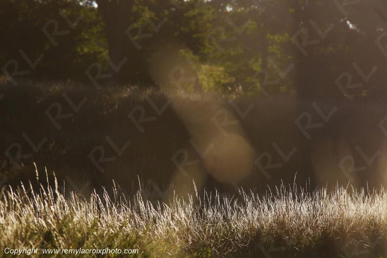 Tranzault Val de Bouzanne Indre Berry Centre Val de Loire France www.remylacroixphoto.com