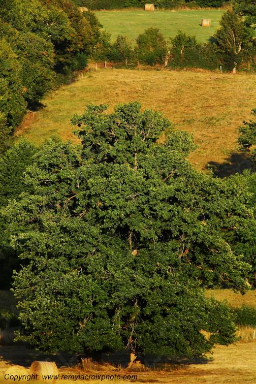 Tranzault Val de Bouzanne Indre Berry Centre Val de Loire France www.remylacroixphoto.com