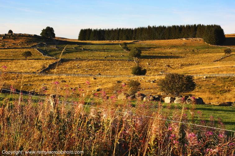 Marchastel Aubrac Loz�re Languedoc-Roussillon Occitanie France www.remylacroixphoto.com