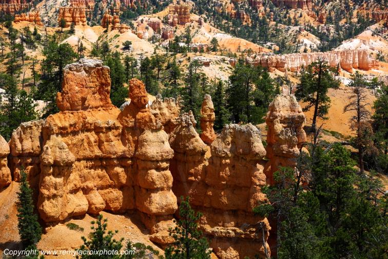 Sunrise Point Bryce Canyon National Park Utah USA