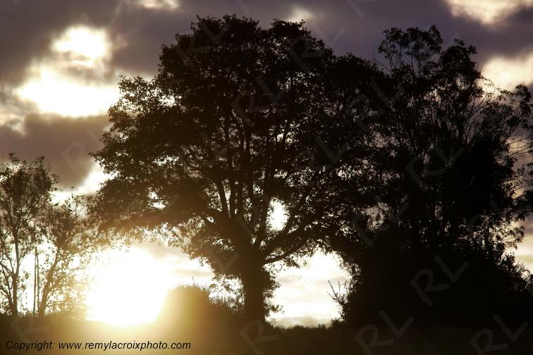 Tranzault Val de Bouzanne Indre Berry Centre Val de Loire France www.remylacroixphoto.com
