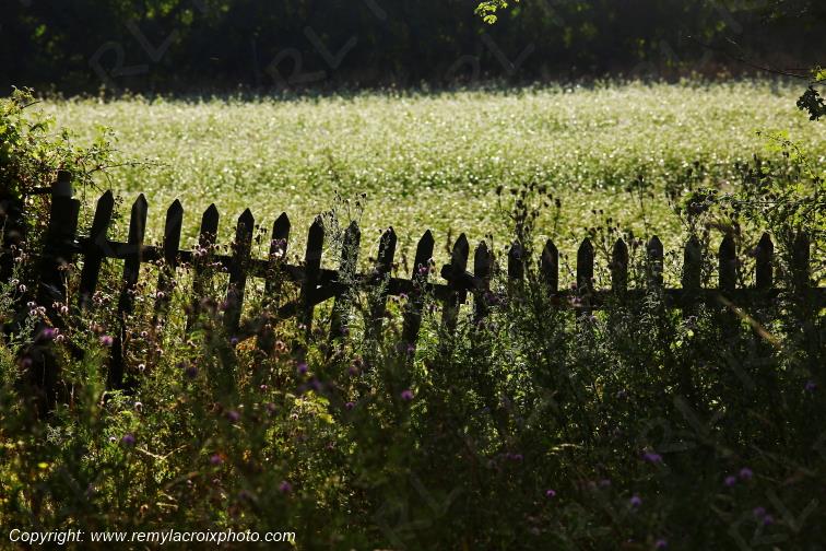 Tranzault Val de Bouzanne Indre Berry Centre Val de Loire France www.remylacroixphoto.com