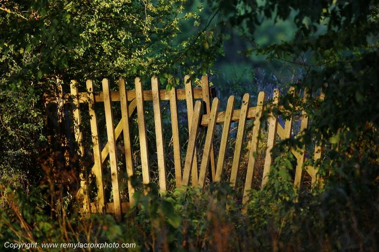 Tranzault Val de Bouzanne Indre Berry Centre Val de Loire France www.remylacroixphoto.com