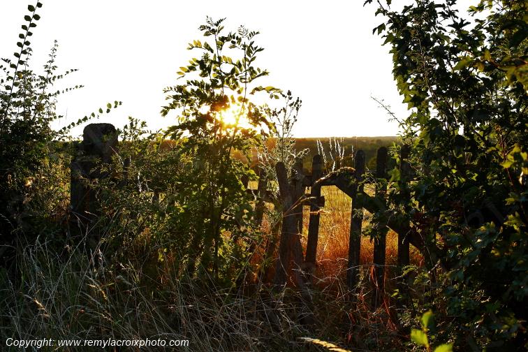 Tranzault Val de Bouzanne Indre Berry Centre Val de Loire France www.remylacroixphoto.com