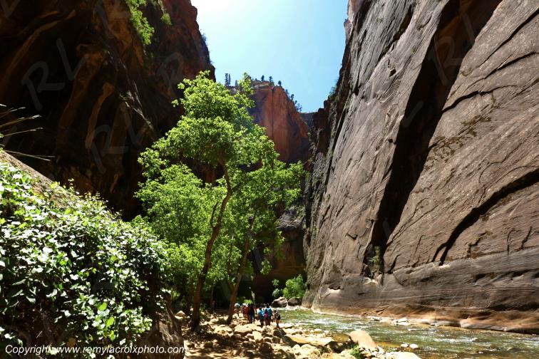 Riverside Walk Zion National Park Utah USA
