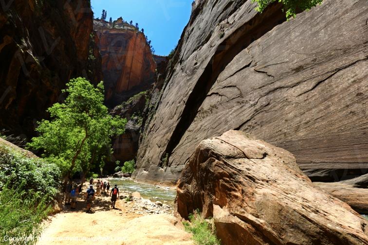 Riverside Walk Zion National Park Utah USA