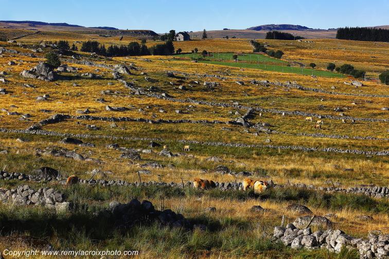 Marchastel Aubrac Loz�re Languedoc-Roussillon Occitanie France www.remylacroixphoto.com