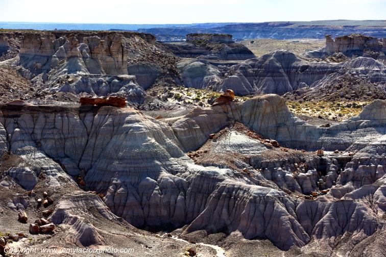 Blue Mesa Petrified Forest National Park Arizona USA