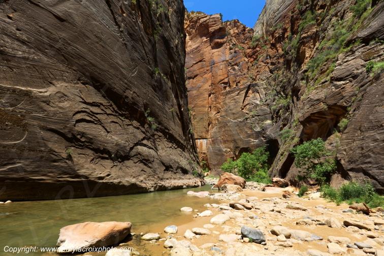 Riverside Walk Zion National Park Utah USA