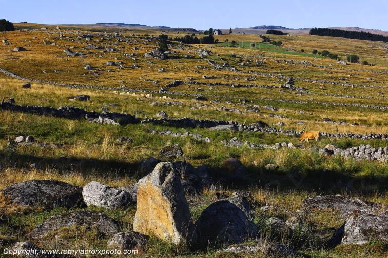 Marchastel Aubrac Loz�re Languedoc-Roussillon Occitanie France www.remylacroixphoto.com
