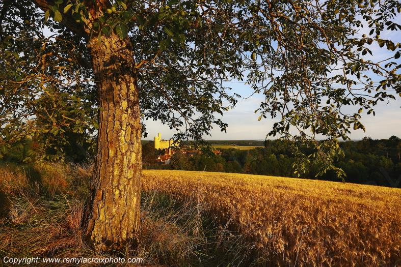 Ch�teau de Billy Allier Auvergne Rh�ne-Alpes France www.remylacroixphoto.com
