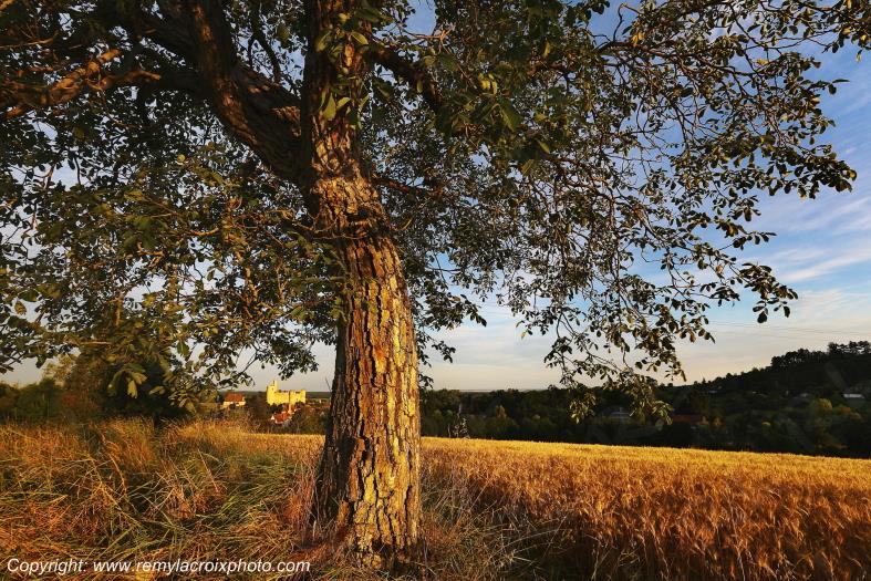 Ch�teau de Billy Allier Auvergne Rh�ne-Alpes France www.remylacroixphoto.com