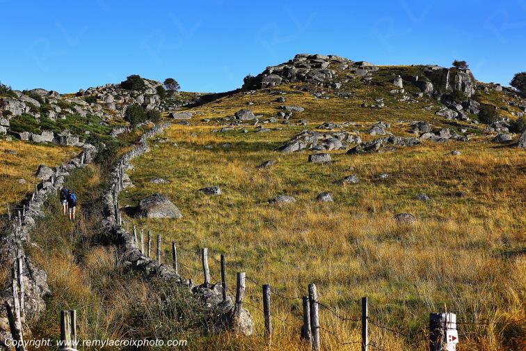 Rieutort d'Aubrac Loz�re Languedoc-Roussillon Occitanie France www.remylacroixphoto.com