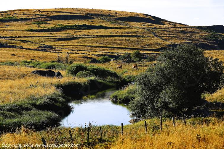 Rieutort d'Aubrac Loz�re Languedoc-Roussillon Occitanie France www.remylacroixphoto.com