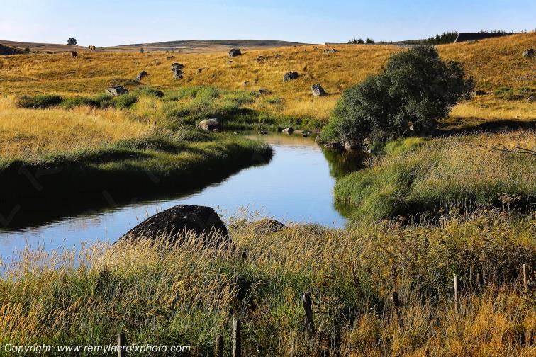 Rieutort d'Aubrac Loz�re Languedoc-Roussillon Occitanie France www.remylacroixphoto.com