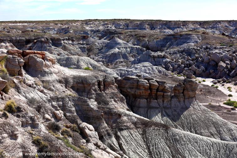 Blue Mesa Petrified Forest National Park Arizona USA
