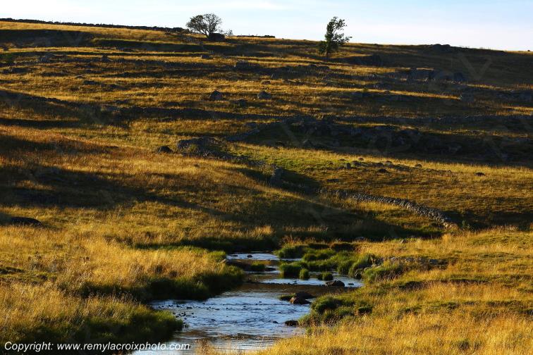 Rieutort d'Aubrac Loz�re Languedoc-Roussillon Occitanie France www.remylacroixphoto.com