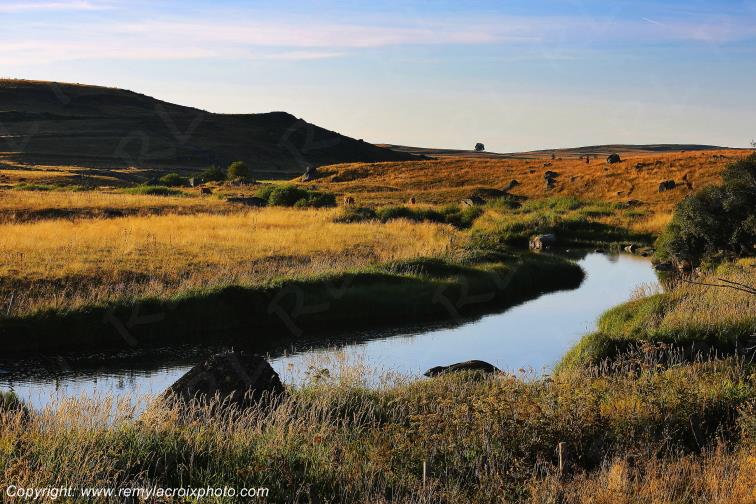 Rieutort d'Aubrac Loz�re Languedoc-Roussillon Occitanie France www.remylacroixphoto.com